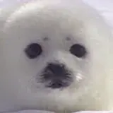 김경수