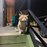 이희수