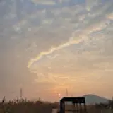 최성수