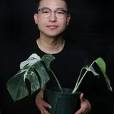 하성식