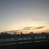 마르셀로너구리