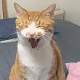 양준웅