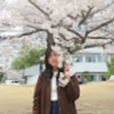 Chrysan A