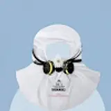 노을