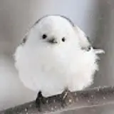 준하