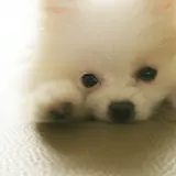 꾸엑뭐