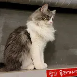 nwnwnwnw
