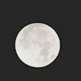 손민