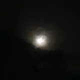 V S