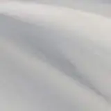 권나영