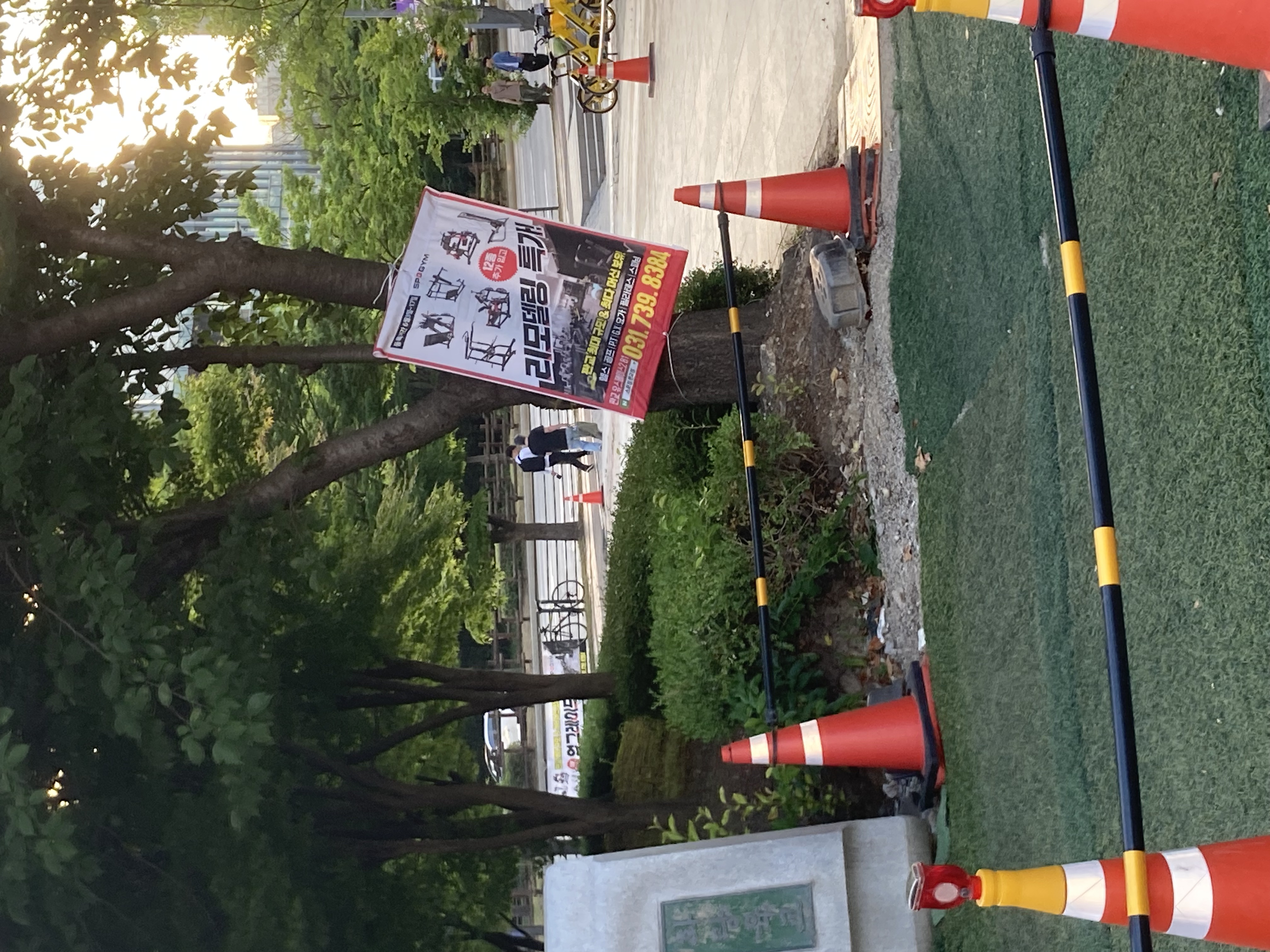 IMG_9432.jpeg