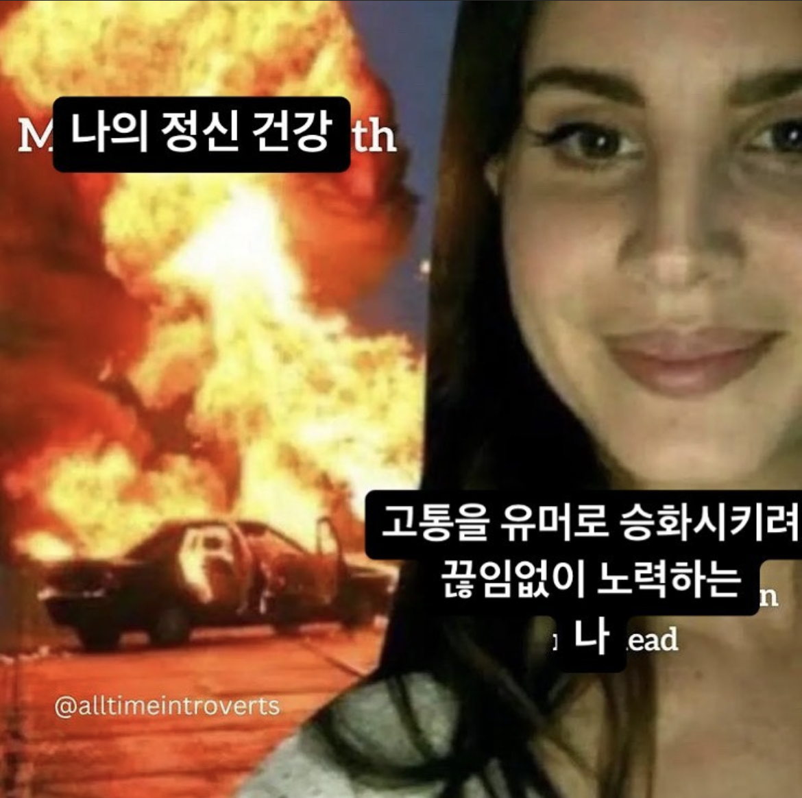 IMG_1823.PNG