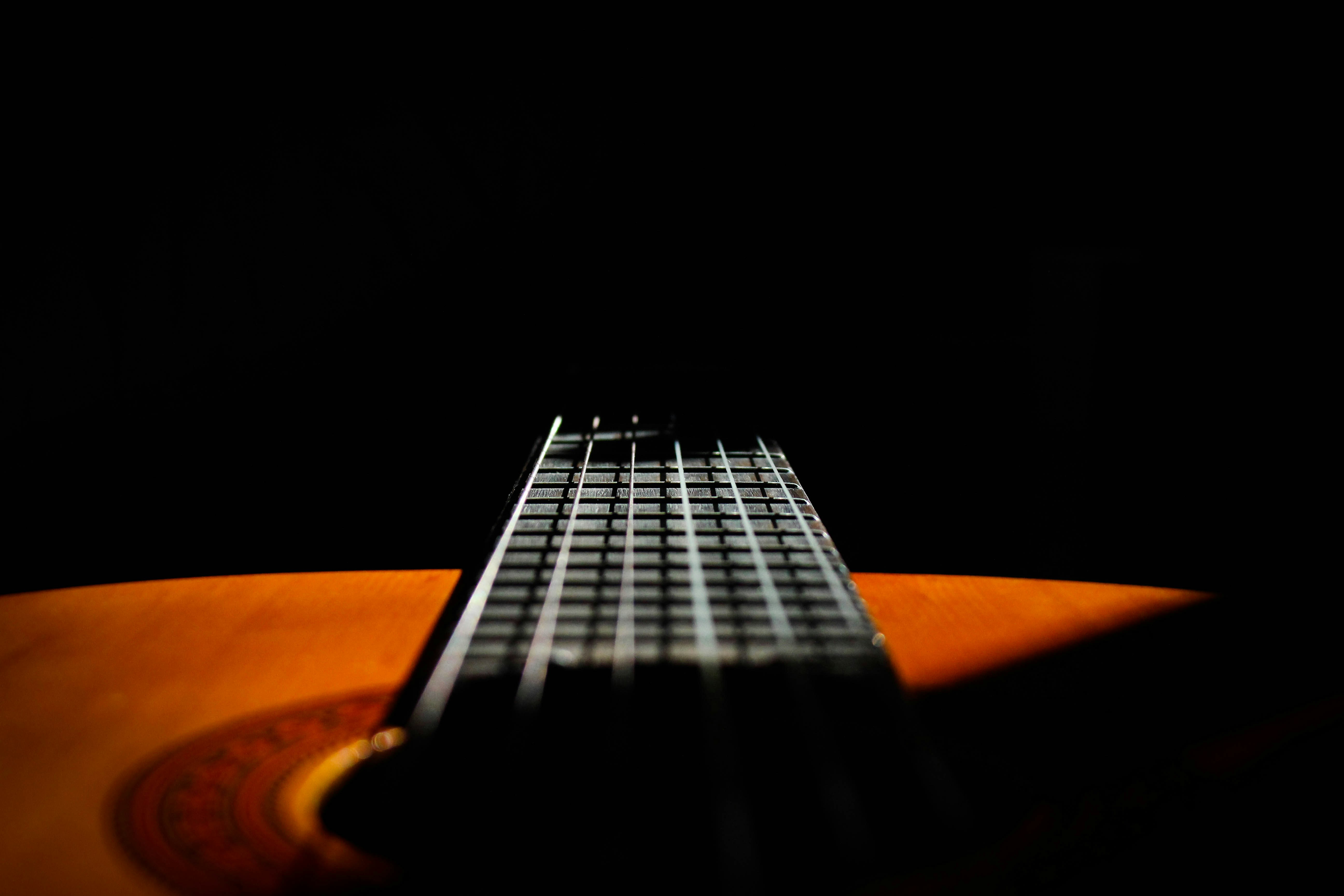 miguel-luis-0LEZ9G9bpKA-unsplash.jpg