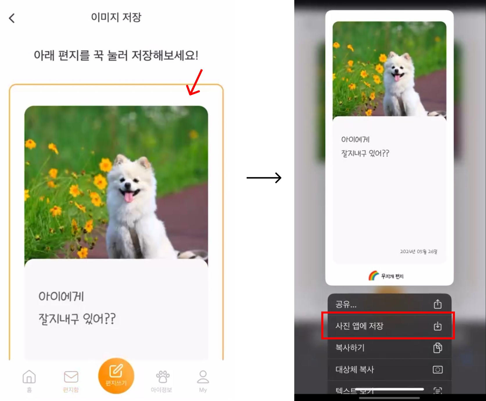 Group 40067.png