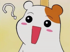 0ca6a848a15e4e38917ffd0eade1c14c_1556939658.png