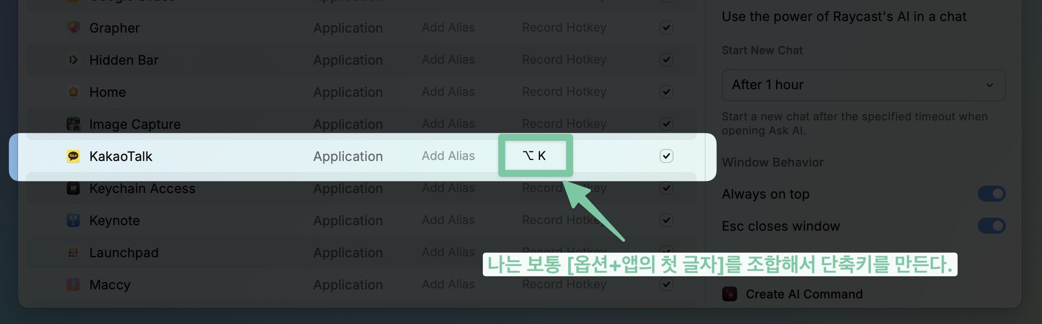 블로그_레이캐스트_14.png