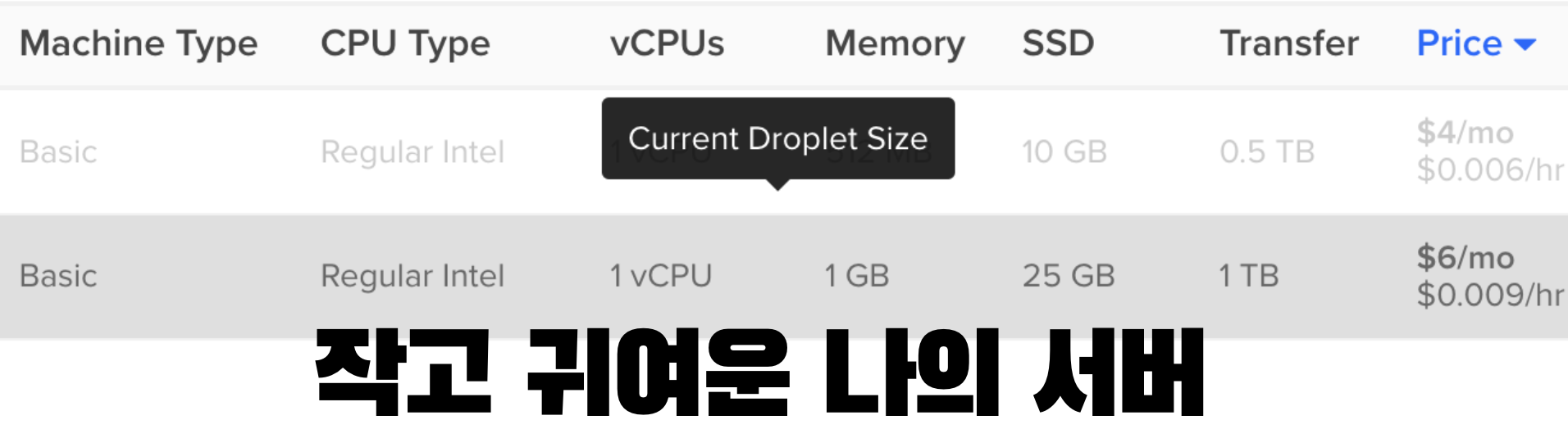 Screenshot 2025-03-16 at 4.45.04 PM.png