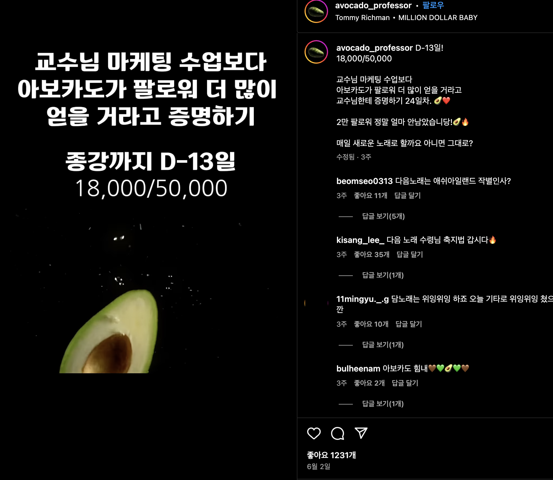 아보카도.png