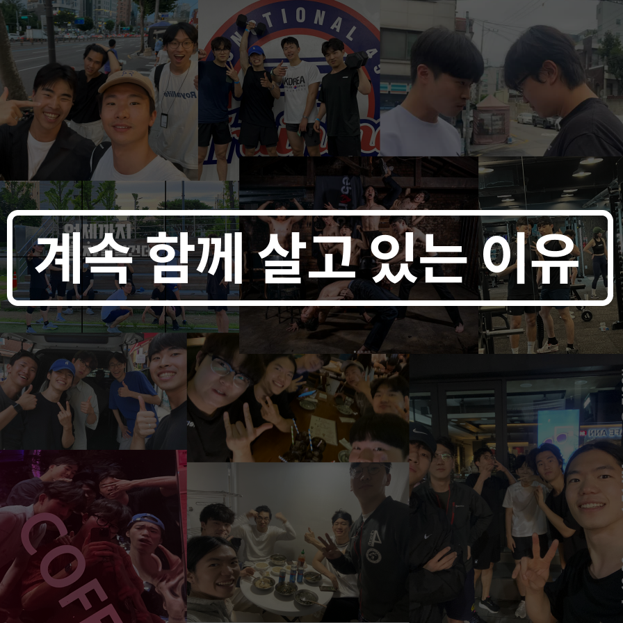 사진.png