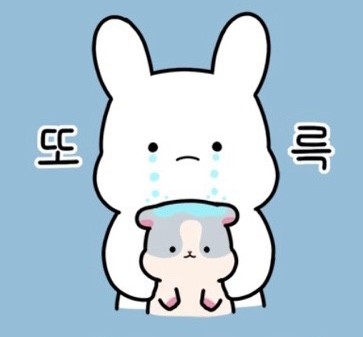 KakaoTalk_20240529_185404925.jpg