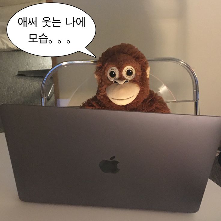 현타온 맥북숭이.jpeg
