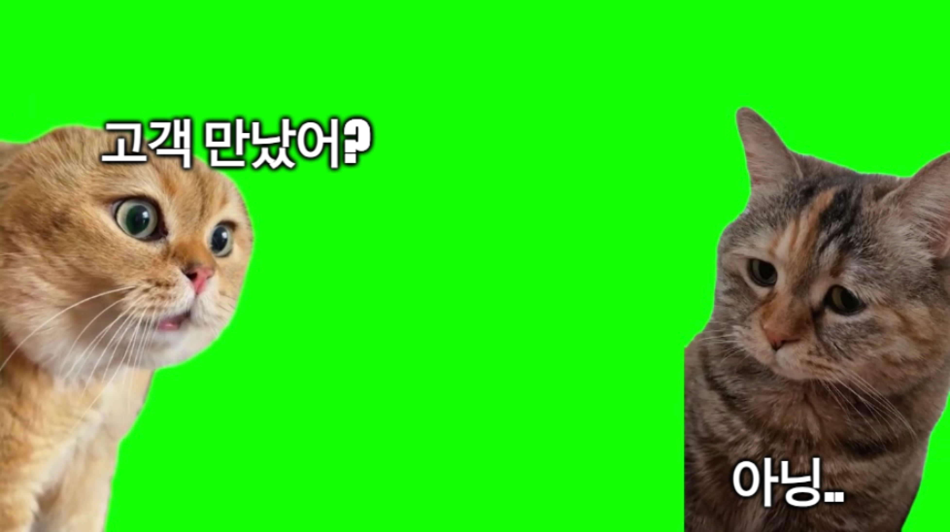 image 24.png