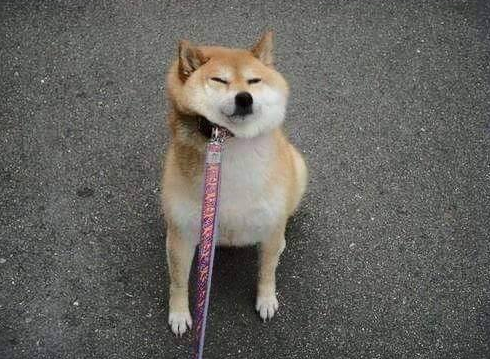 자료 3.png