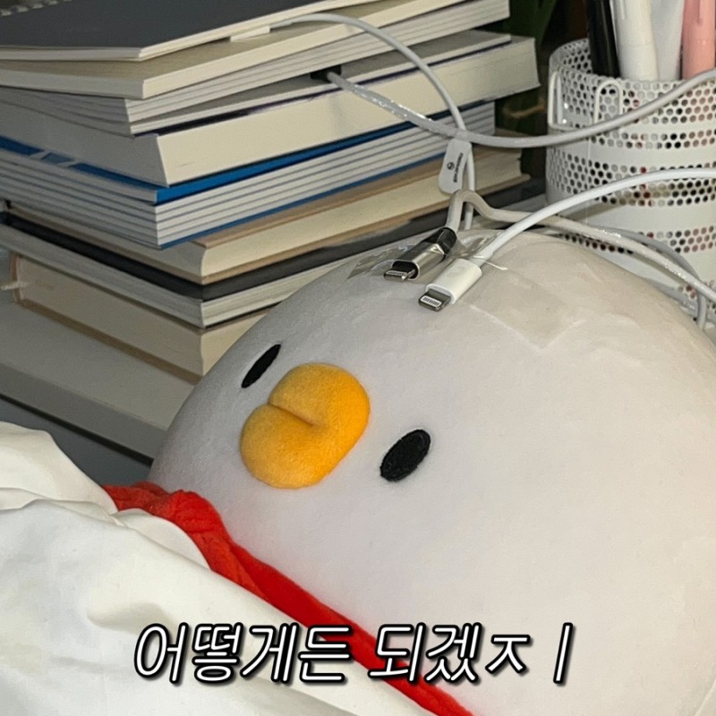 도전.jpeg