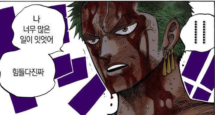 zoro-too-much-accidents.jpg