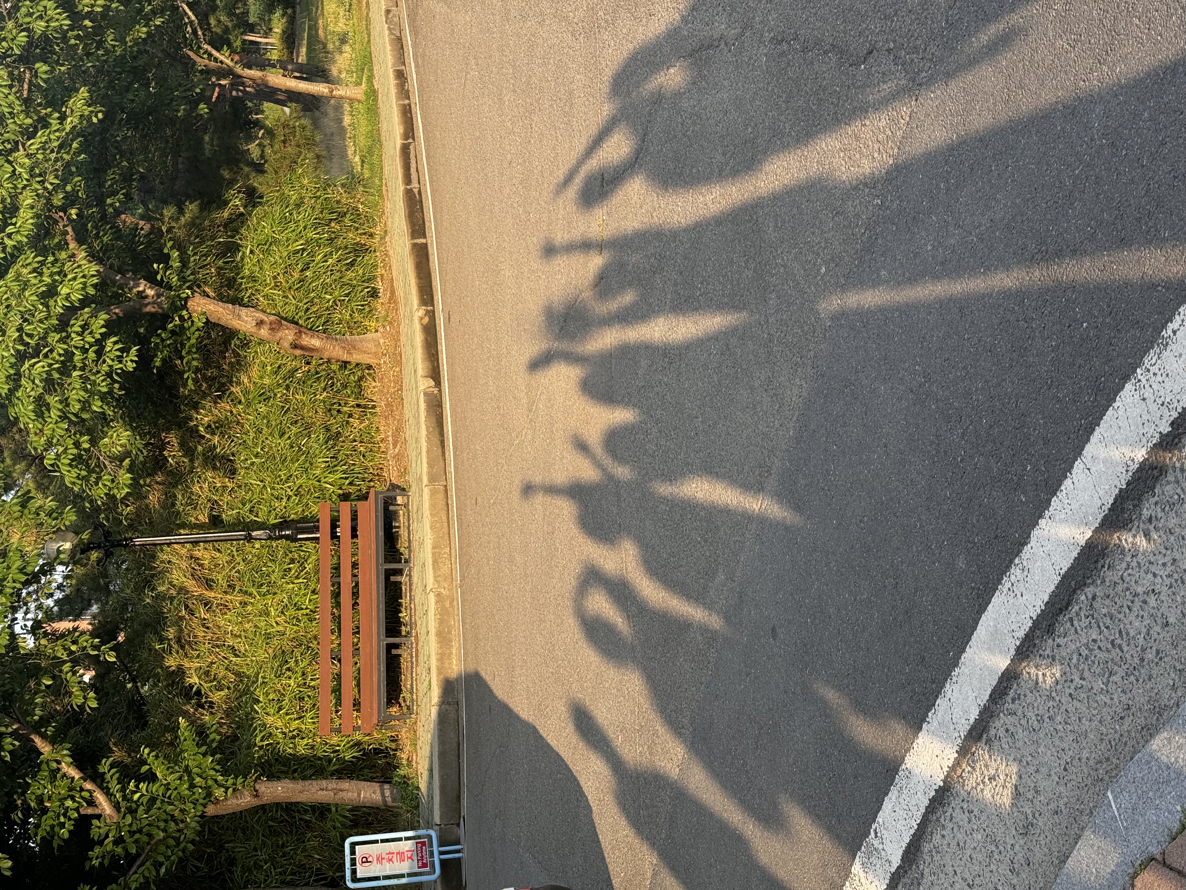IMG_4041.jpeg