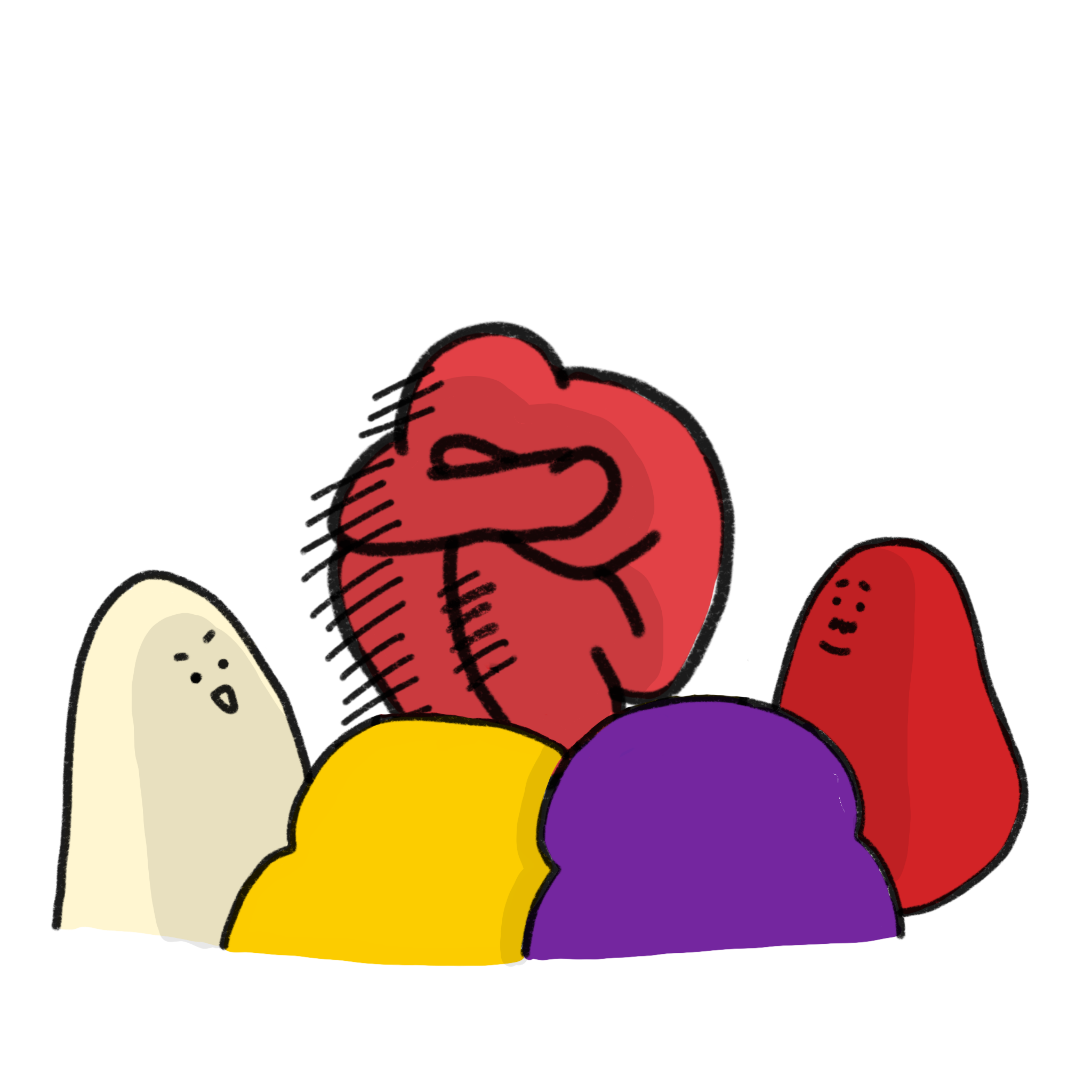 11.png