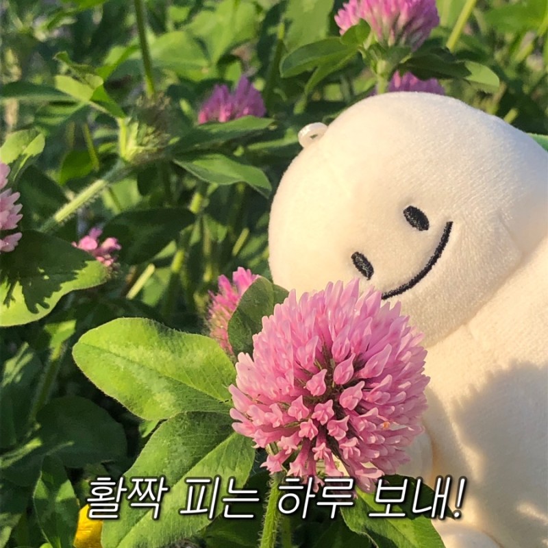 응원.jpeg