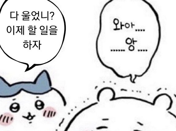 KakaoTalk_20240529_103200271.jpg