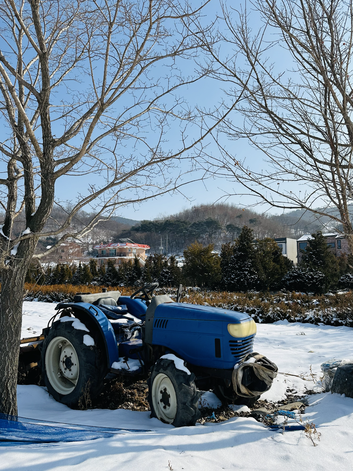 20250206_KOR 2.png