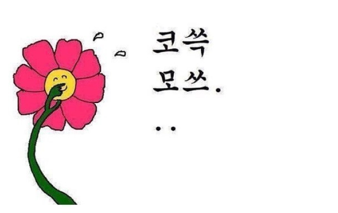 코쓱 1.png