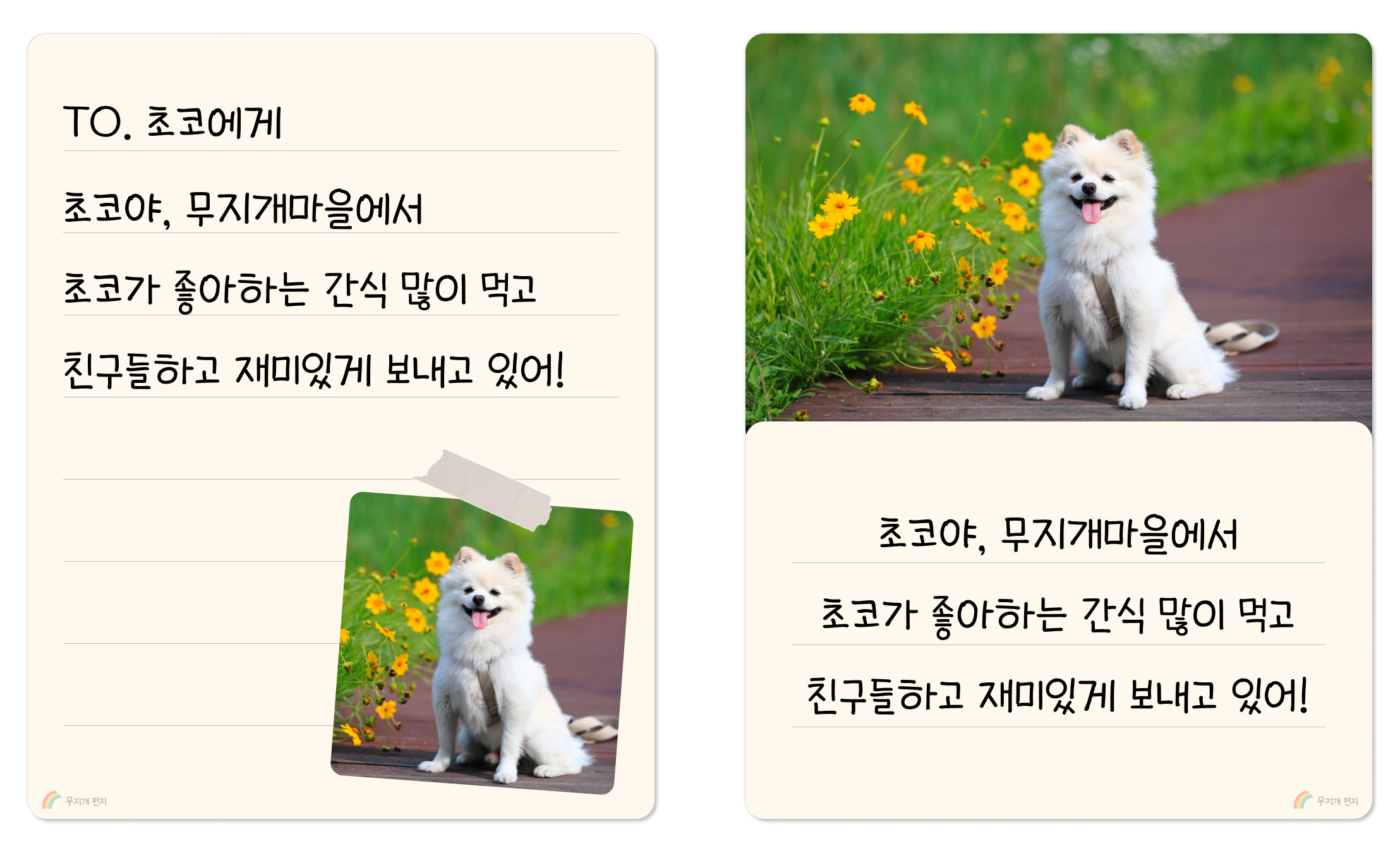 사진&편지 문장 예시사진.png