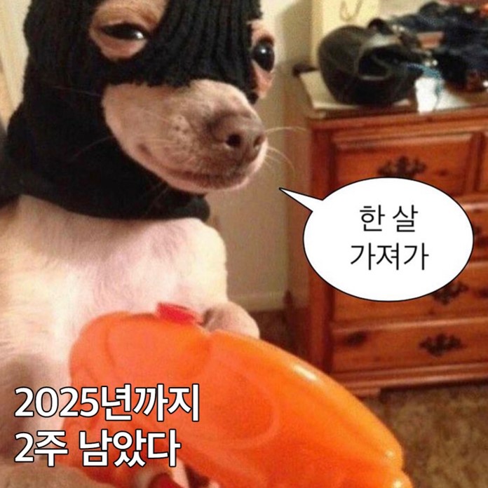 늙어가는박국수.jpg