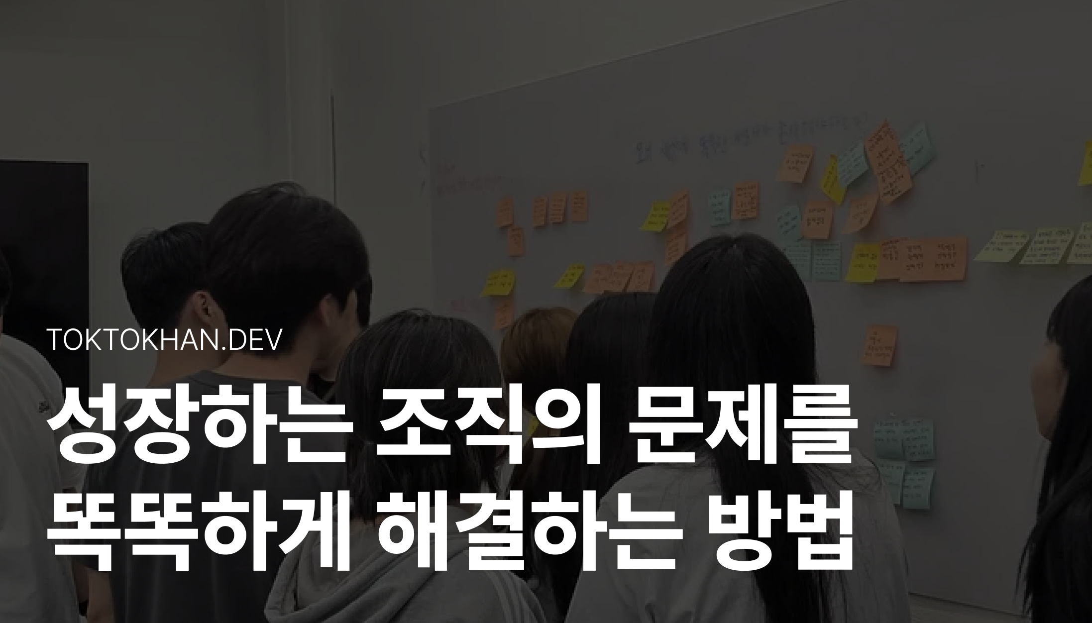 조직문화 똑개 eo.png
