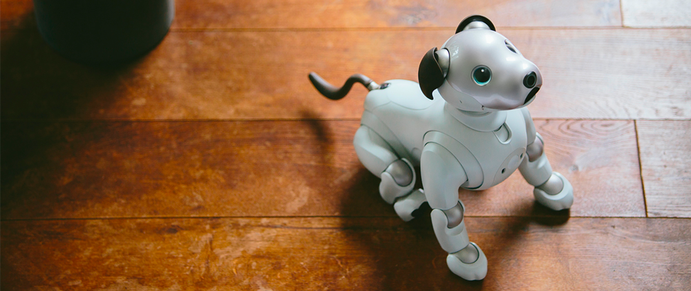 aibo.png