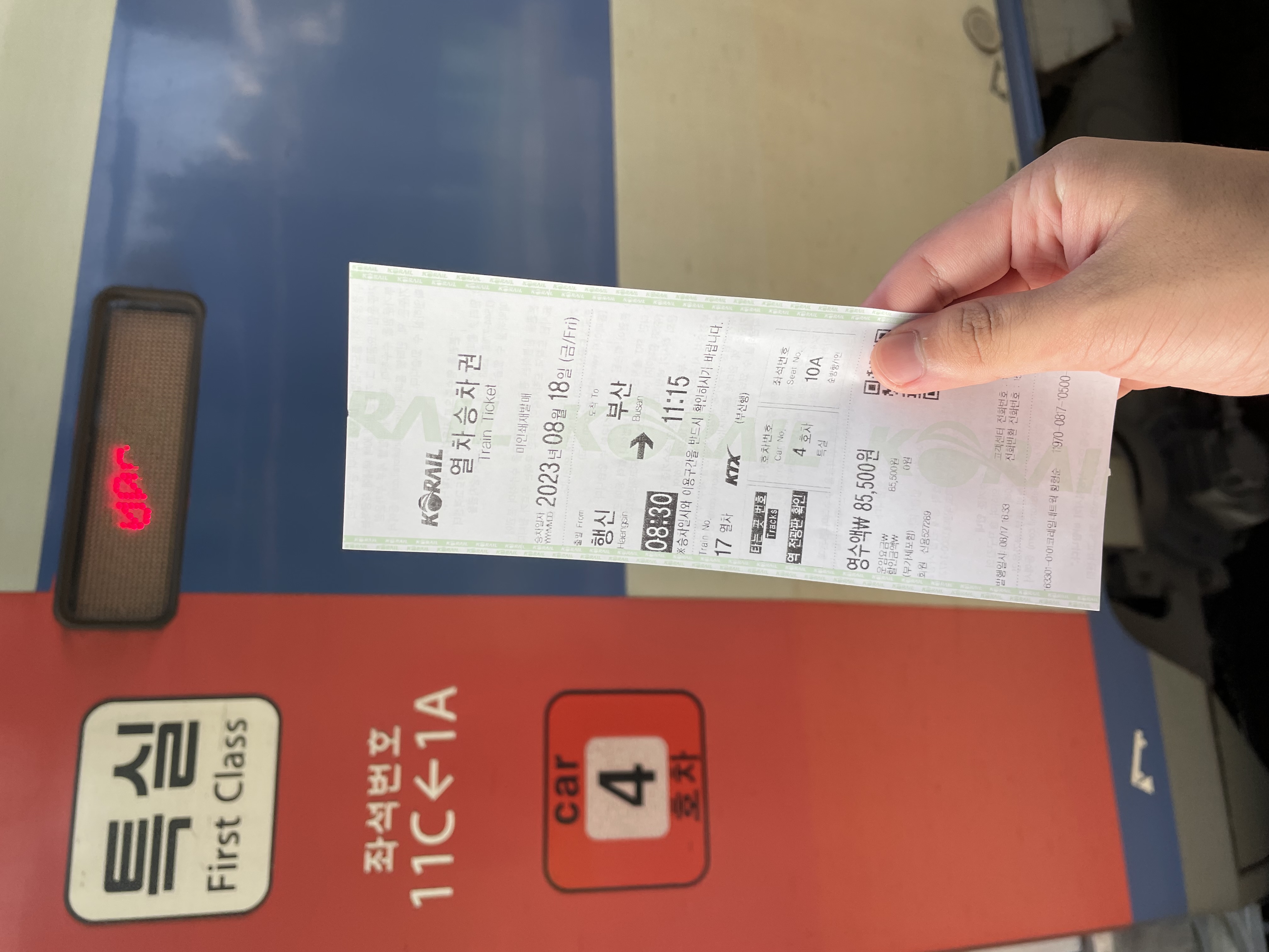 IMG_2597.jpeg