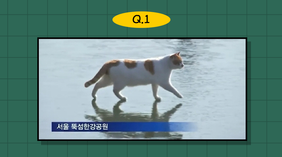 image (3).png