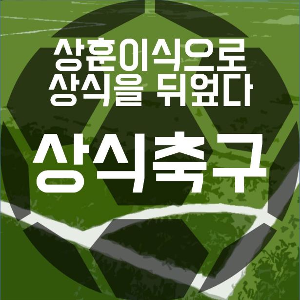 상식축구 공식 로고.JPG
