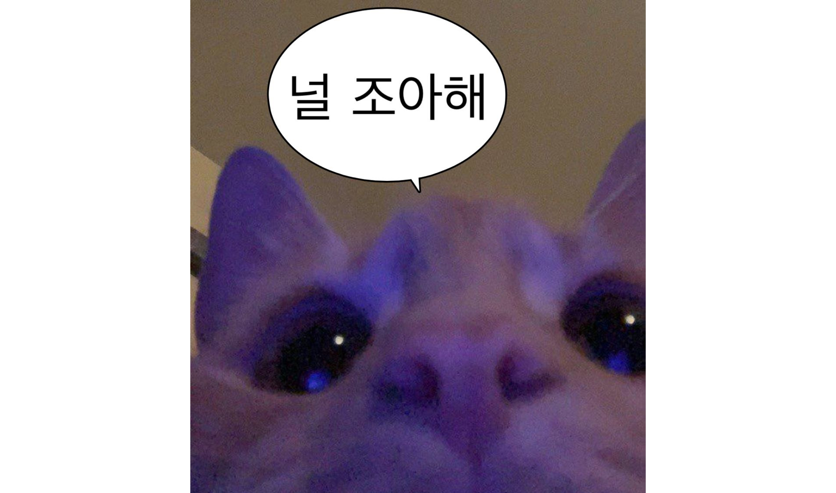 Frame 40331.jpg