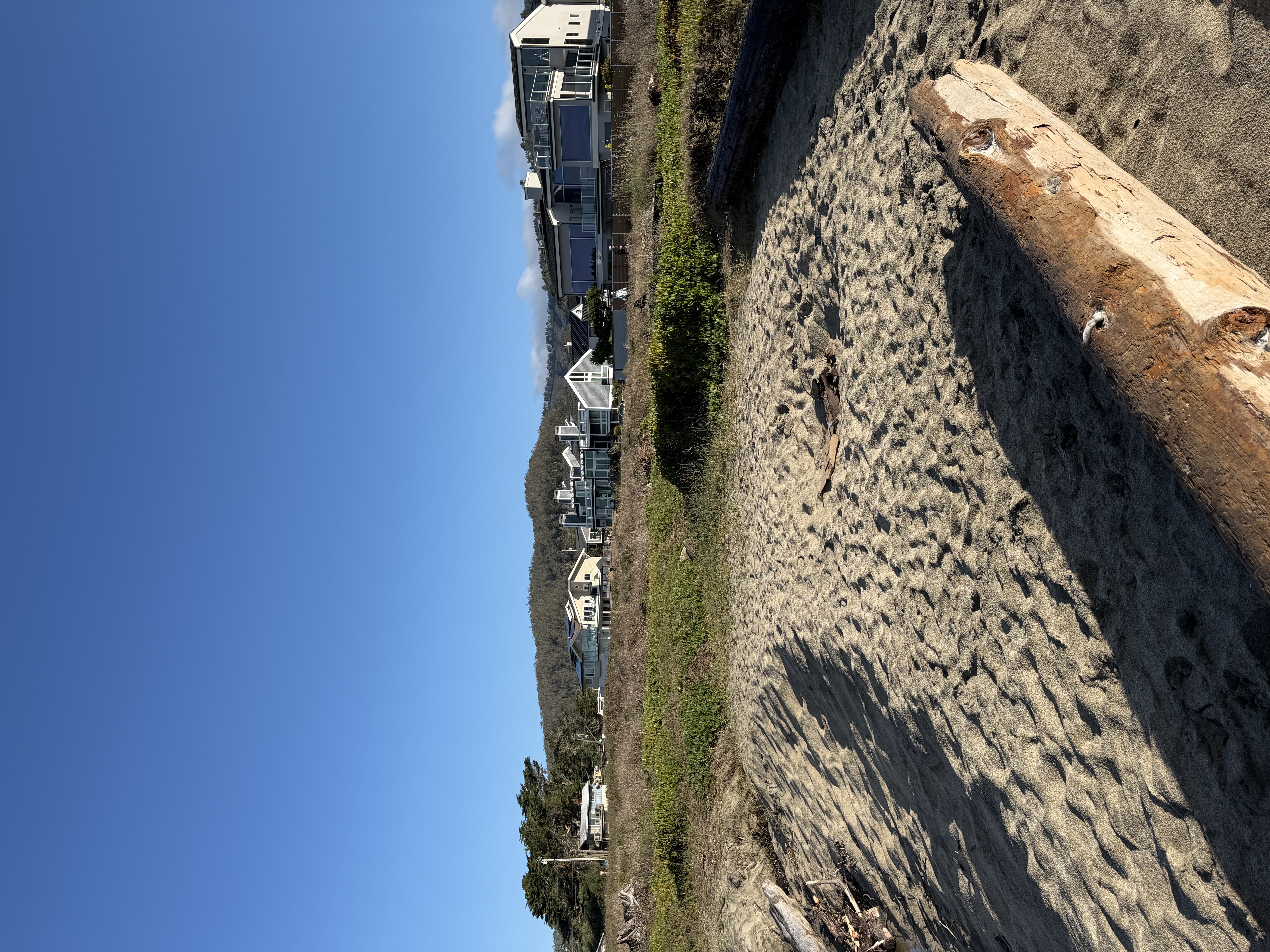 IMG_5535.jpeg