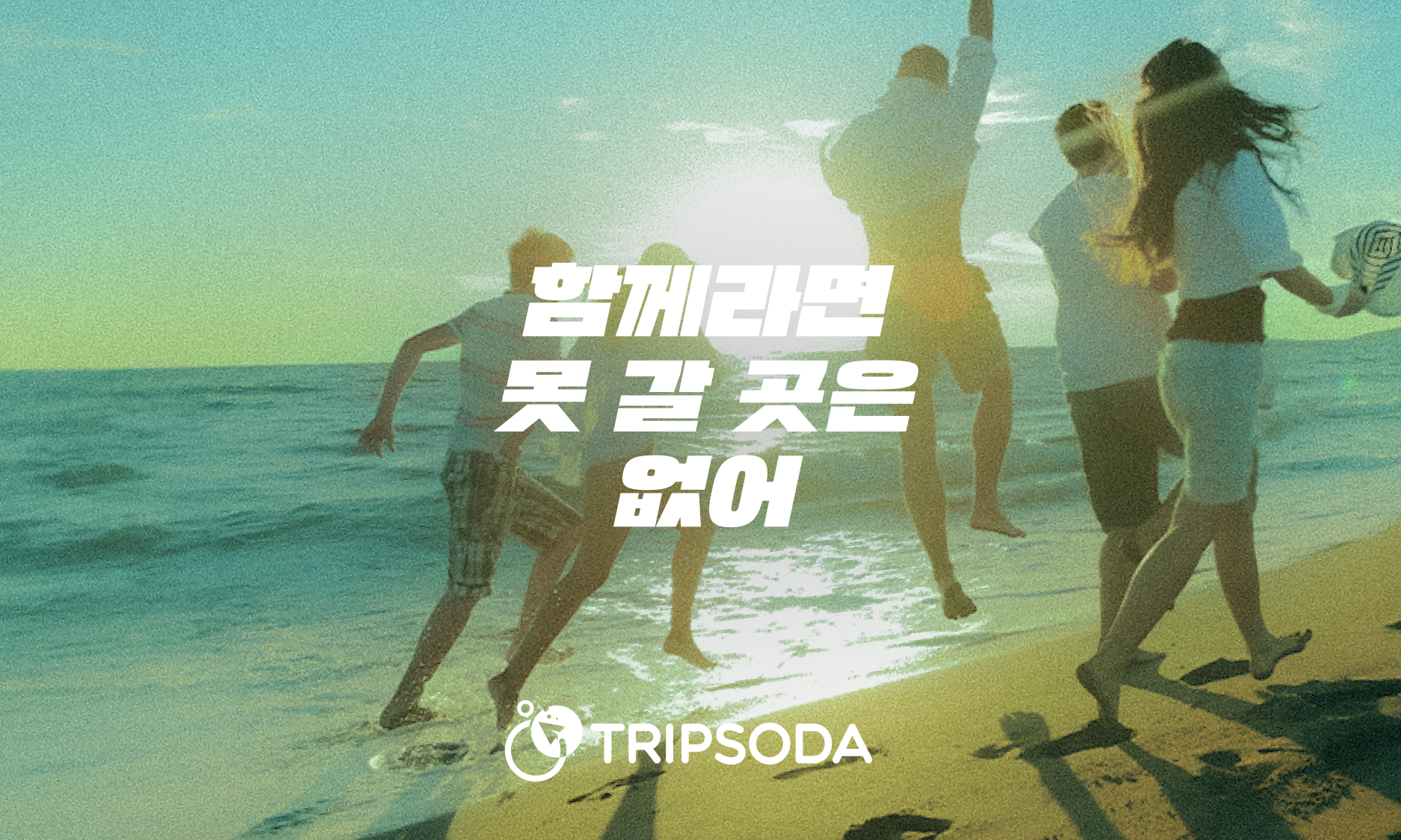 tripsoda_thumbnail.png