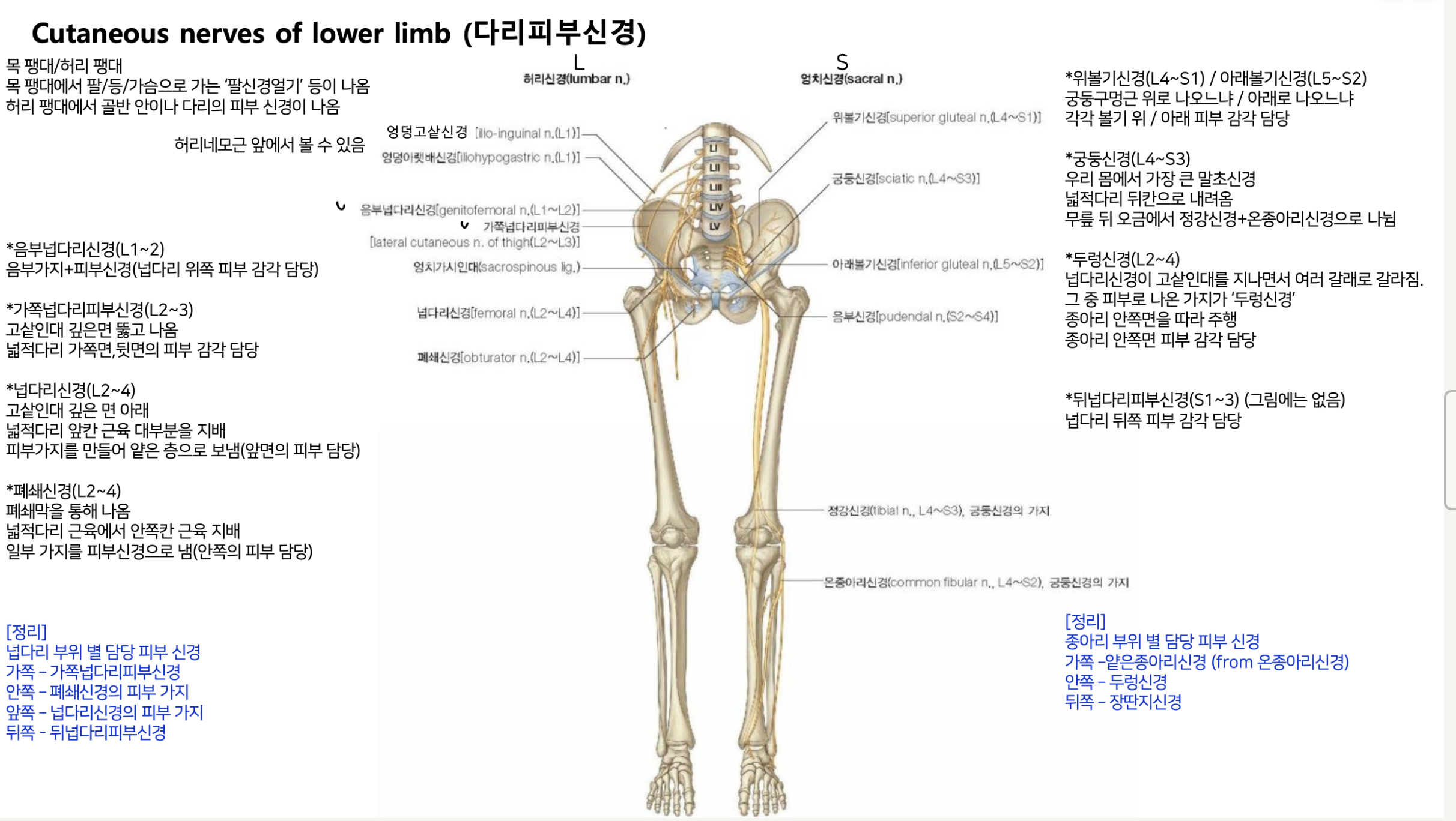스크린샷 2024-08-17 오후 4.03.23.png