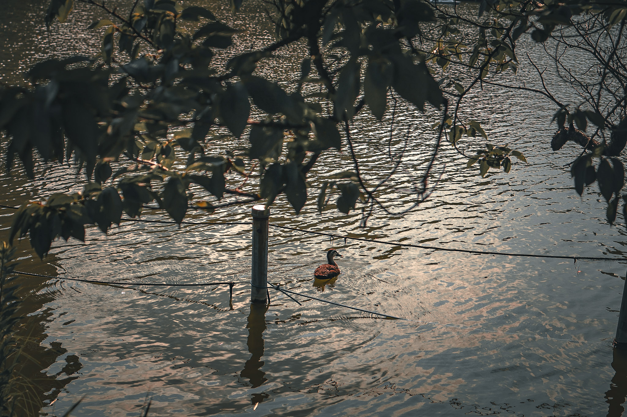 D9EC3448-8147-4CA5-9F01-68C95D84D02E.jpeg