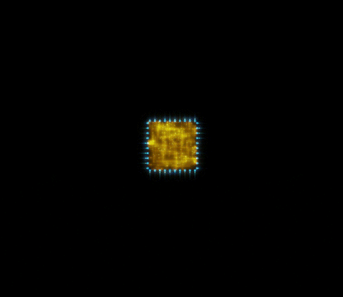 network.gif