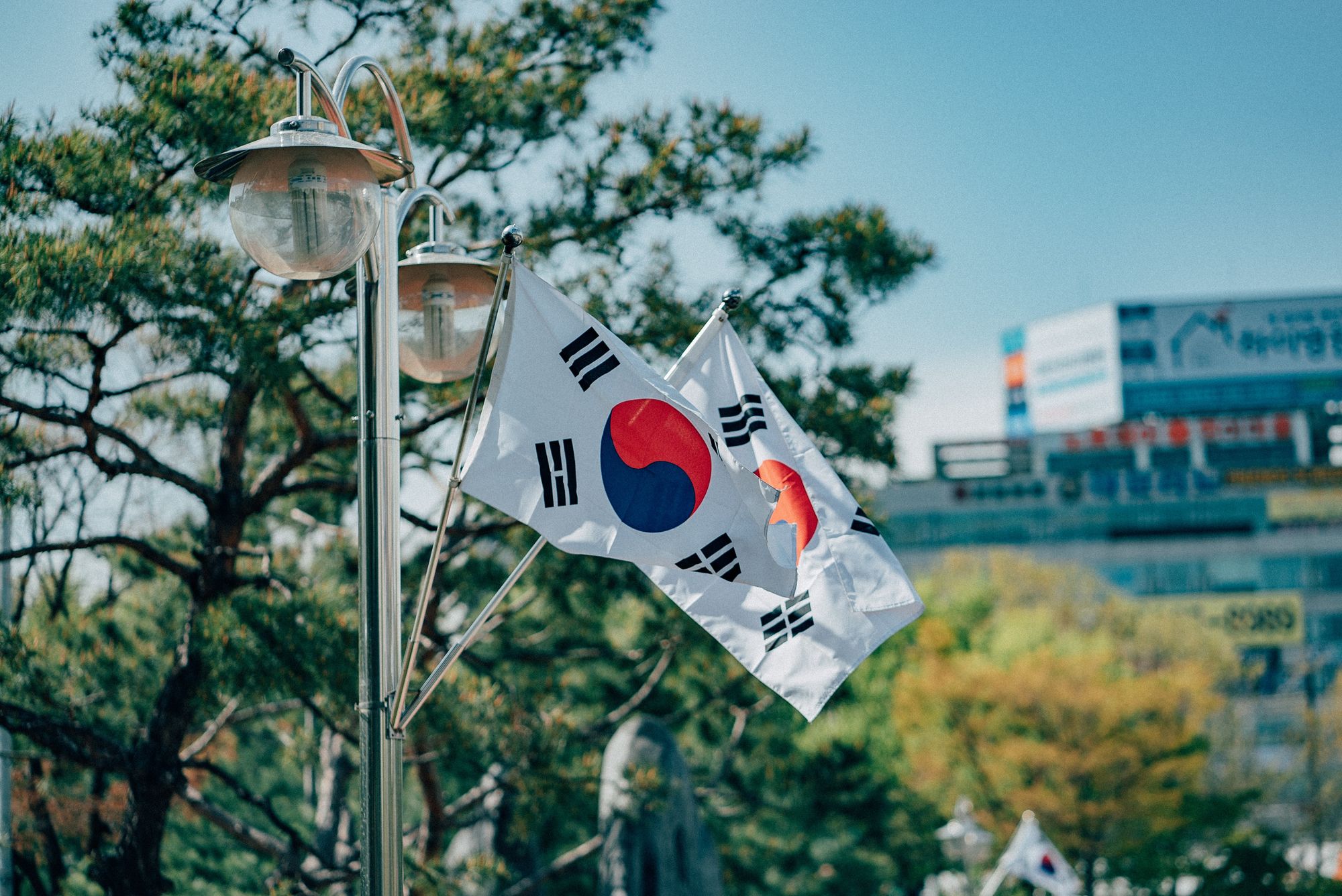 대한민국 국기 사진.jpeg