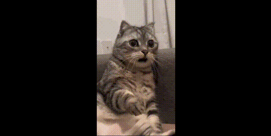 Screen Recording 2024-06-17 at 5.06.35 PM (1).gif